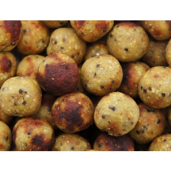 Classic Range Tiger Peanut