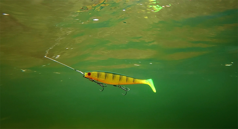 Pro Shad 10cm UV Natural Perch