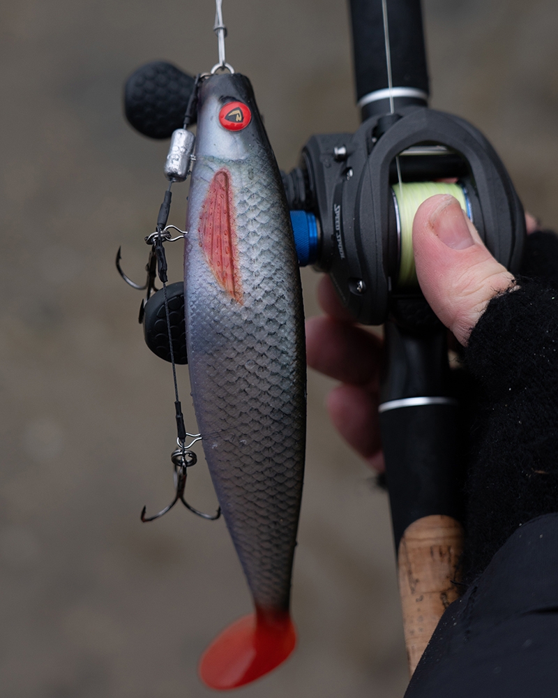 Pro Shad 10cm Ultra Roach