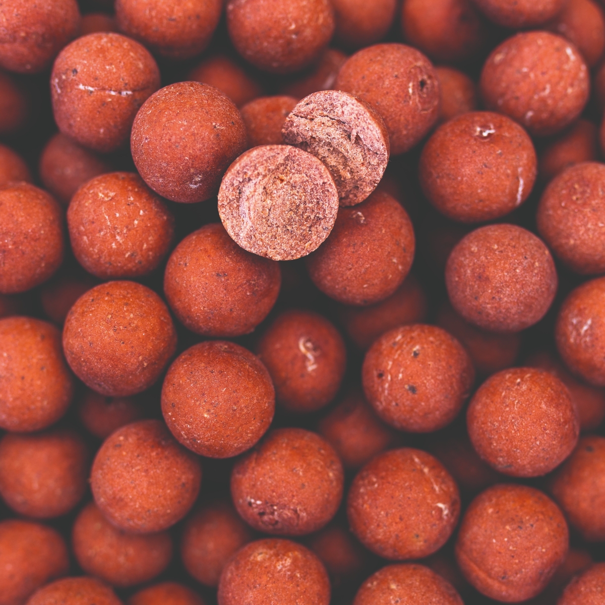 Readymades Garlic & Robin Red 20mm 1kg