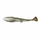 4D Linethru Pulsetail Trout Sl. Sink. (20cm/102gr Fire Trout)