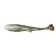 4D Linethru Pulsetail Trout Sl. Sink. (16cm/51gr Green Silver)