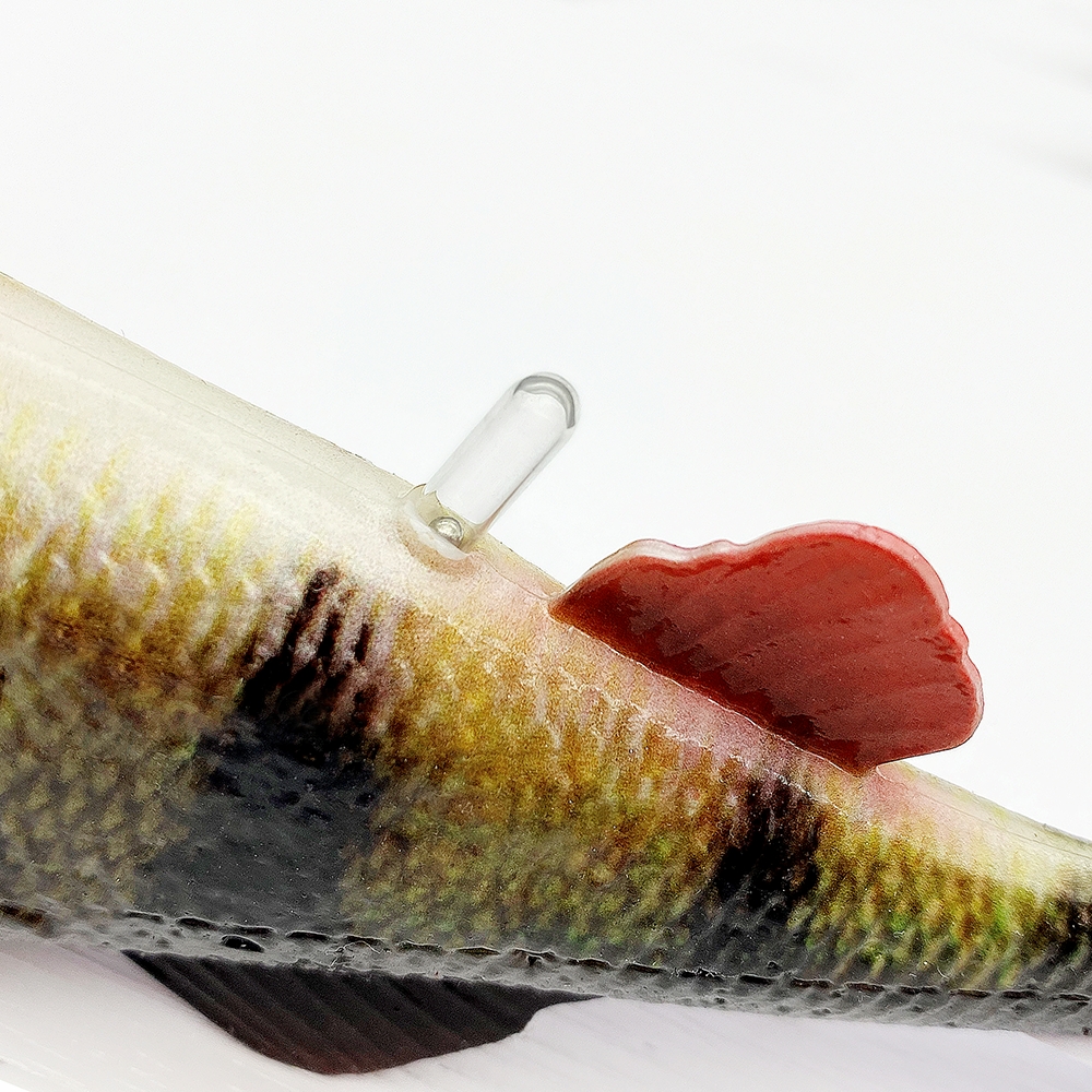 4D Perch Shad Green Silver