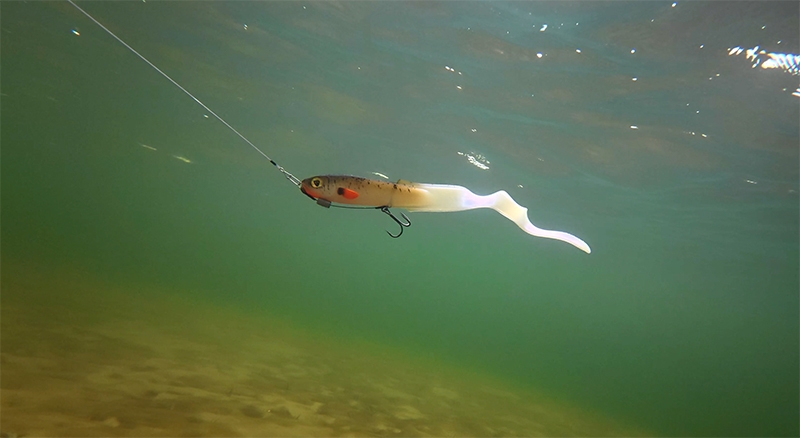 Slick Eel UV Marble 21cm