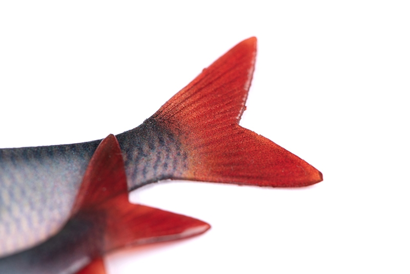 Ultra Natural Roach Fillet 6cm/4st