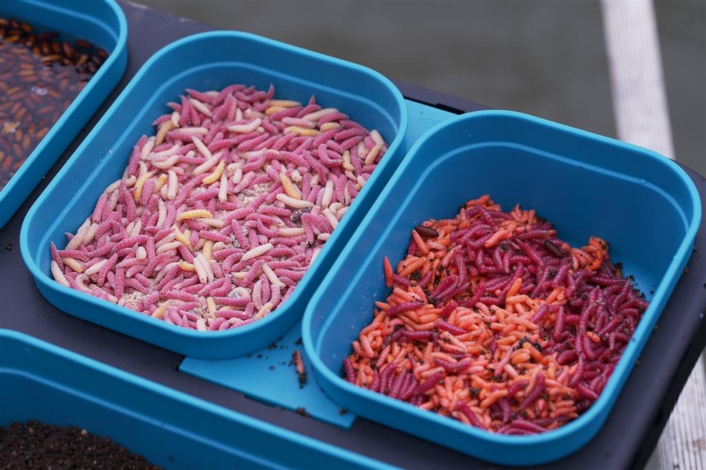 DMS Bait Seal Box Aqua (1 Pint/0,57Liter)