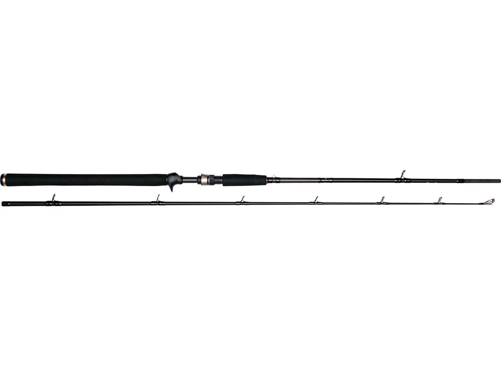 W3 Jerkbait-T 2-nd XXH 195cm Baitcasterhengel