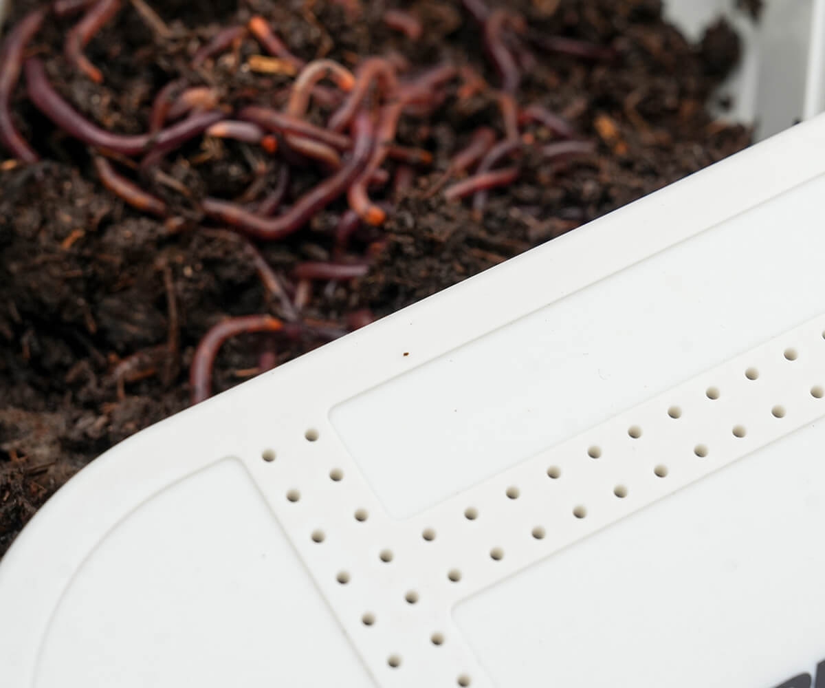 Bait Tube Holed Lid 600ml